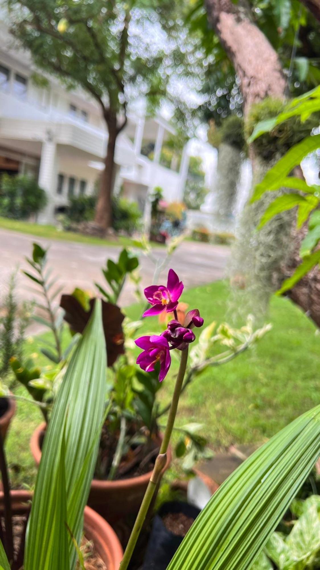 Udee Cozy Hotel Chiang Mai Esterno foto