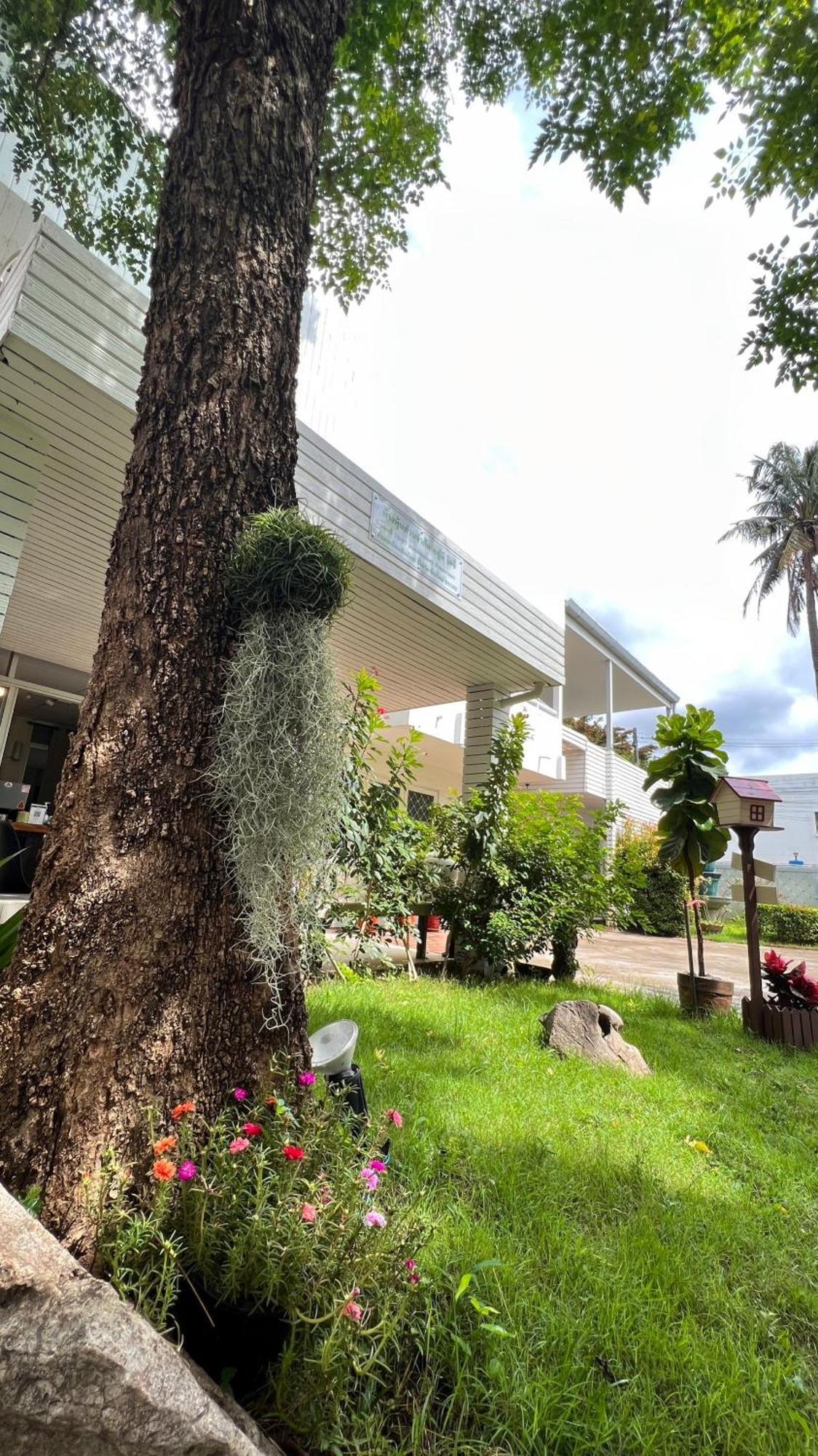 Udee Cozy Hotel Chiang Mai Esterno foto
