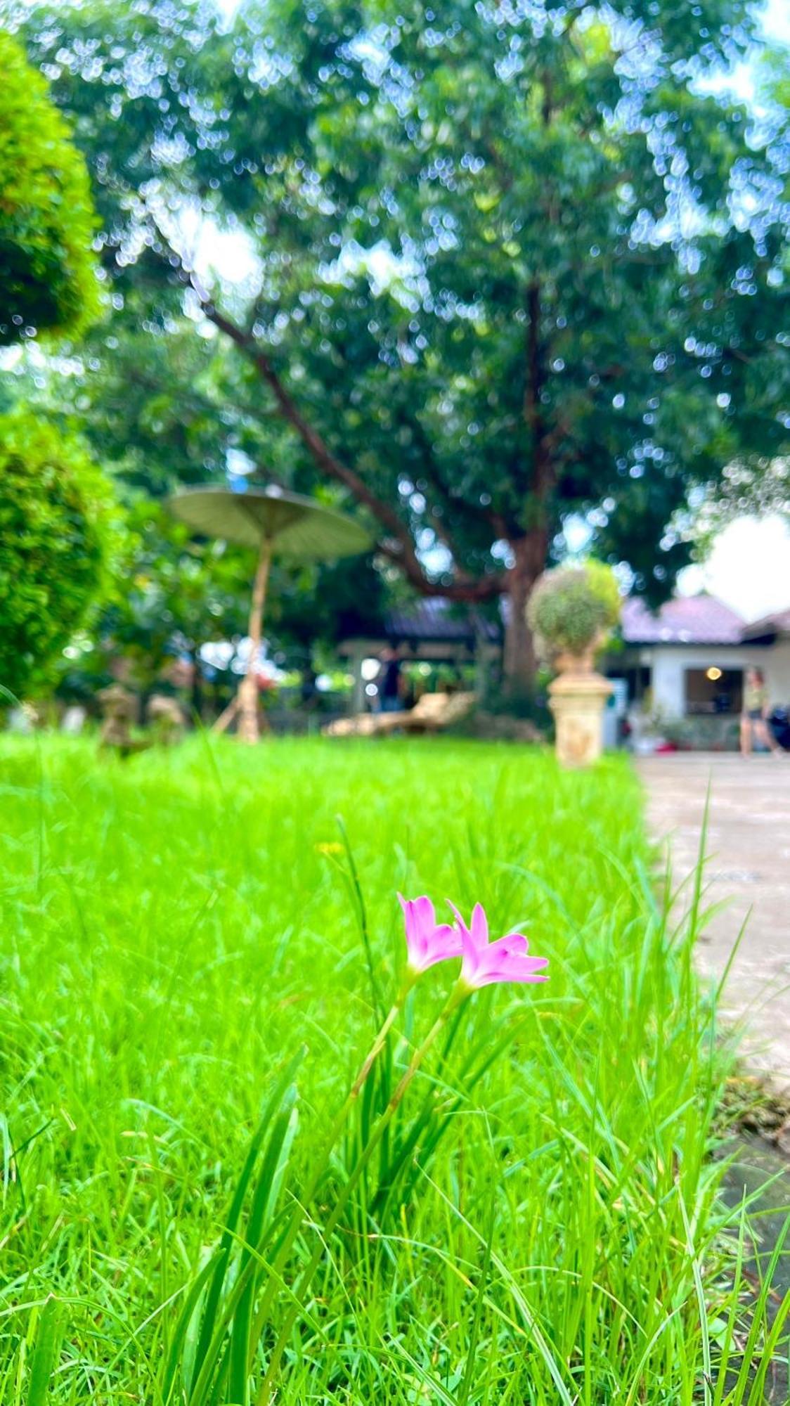 Udee Cozy Hotel Chiang Mai Esterno foto