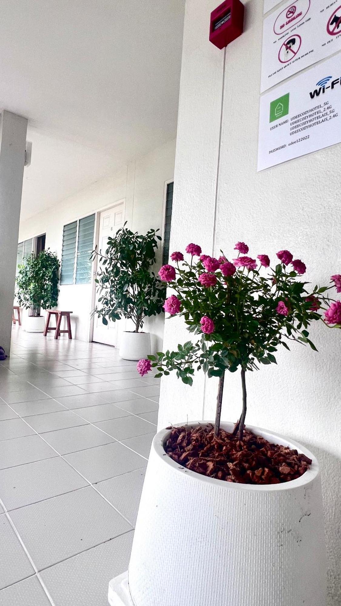 Udee Cozy Hotel Chiang Mai Esterno foto